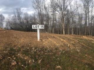 0 Lewis Lane - Photo 1