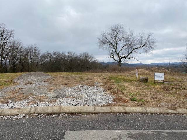 175 Circuit Rd - Photo 1