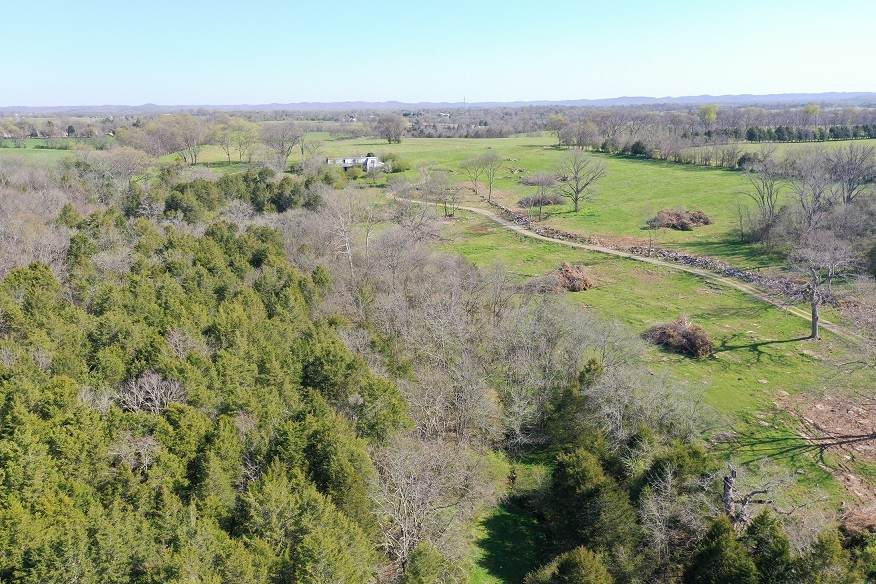 0 Cairo Rd - Photo 1