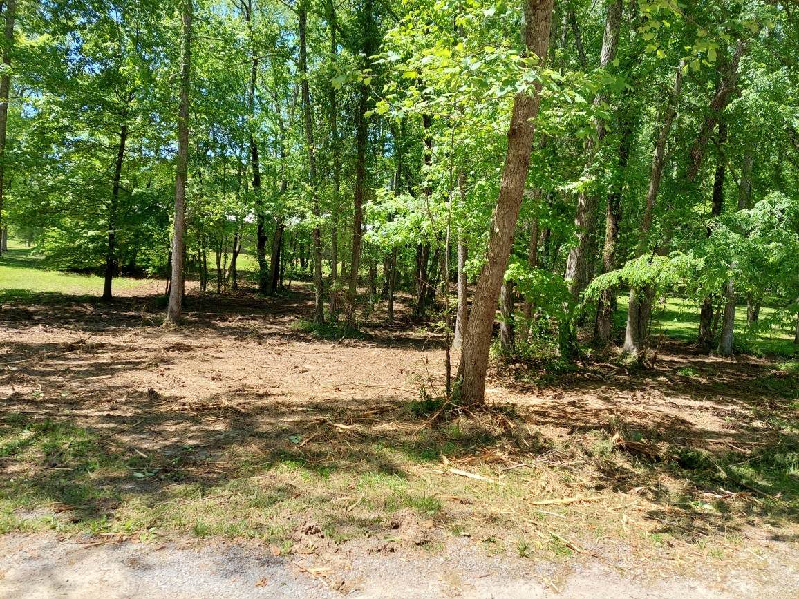 8 Bobcat Trl - Photo 1