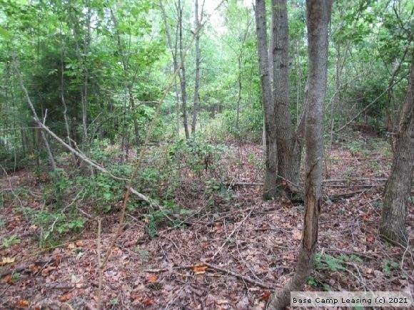 4778 Sulphur Creek Rd - Photo 1