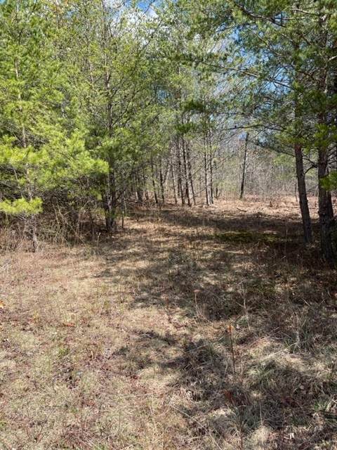 0 Turkey Track Rd - Photo 1