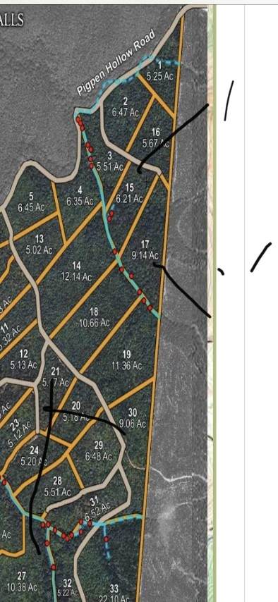0 Pigpen Hollow Rd. - Photo 1