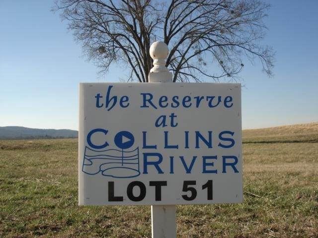 0 Collins Run - Photo 1