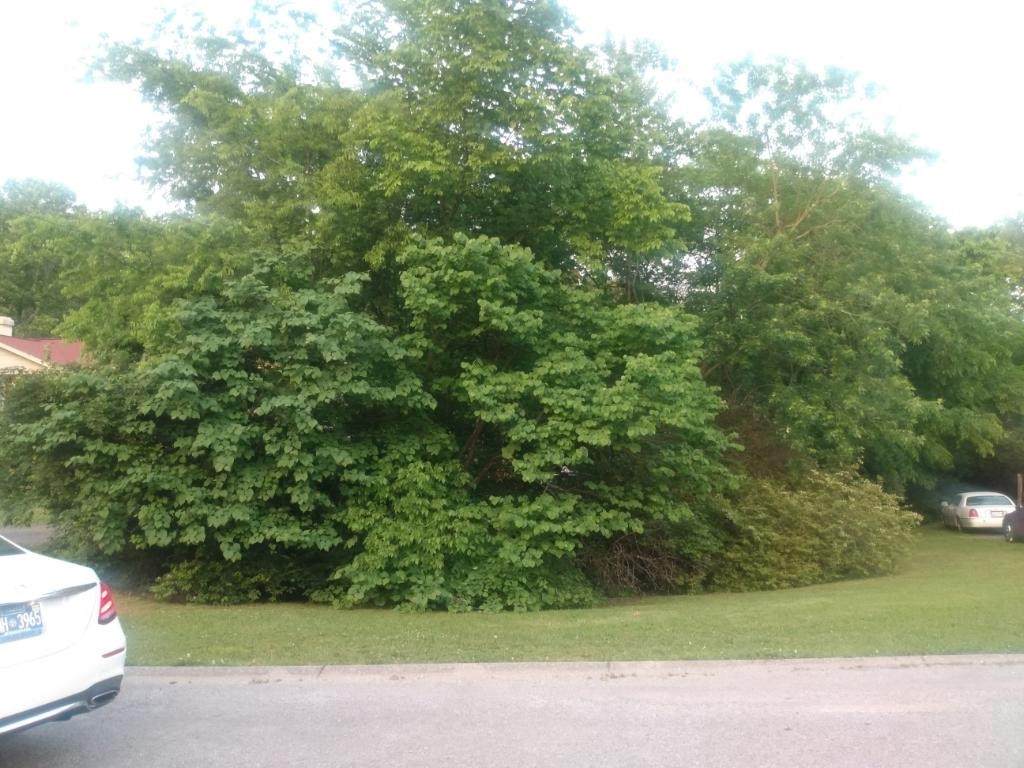 109 Forest Meadows Ct - Photo 1