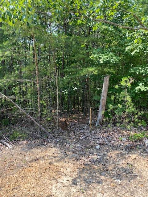 0 Piney Point Rd - Photo 1