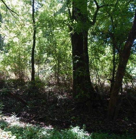 0 Hervy Jones Rd. - Photo 1
