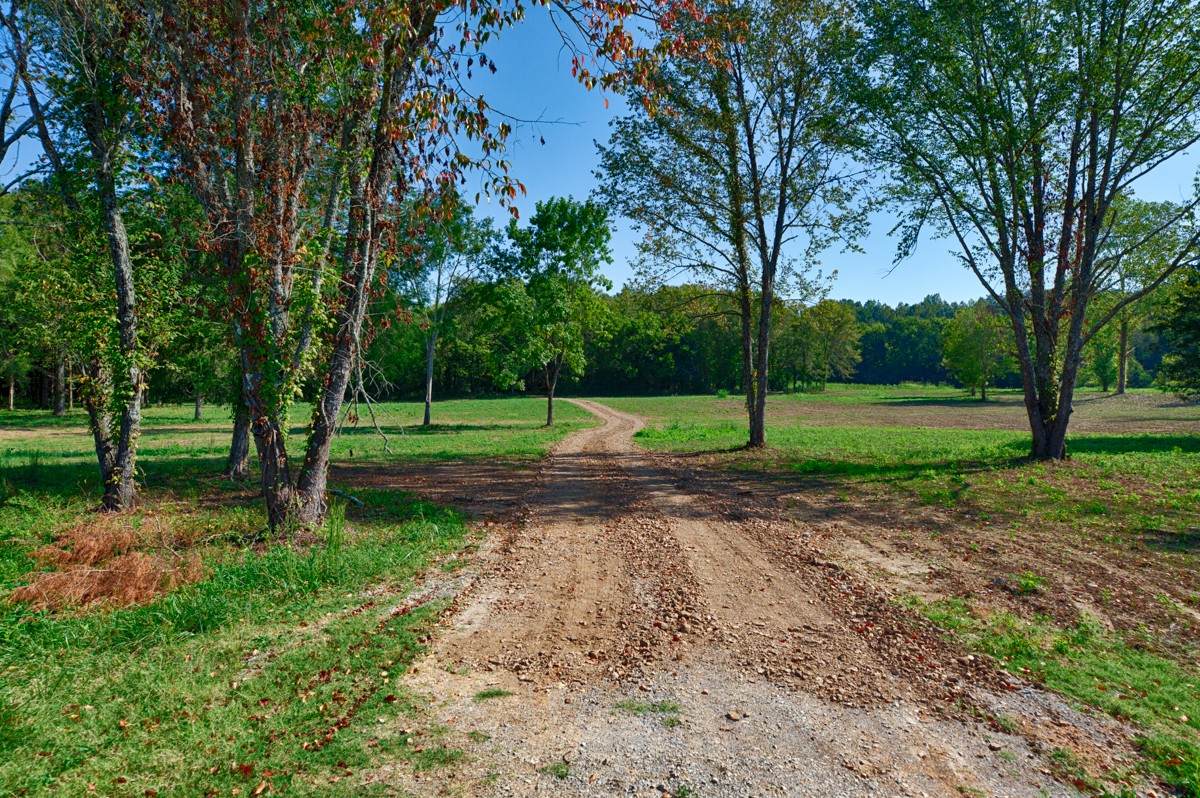 0 Elkton Pike - Photo 1