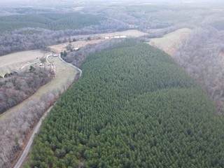 117 Mount Zion Rd - Photo 1