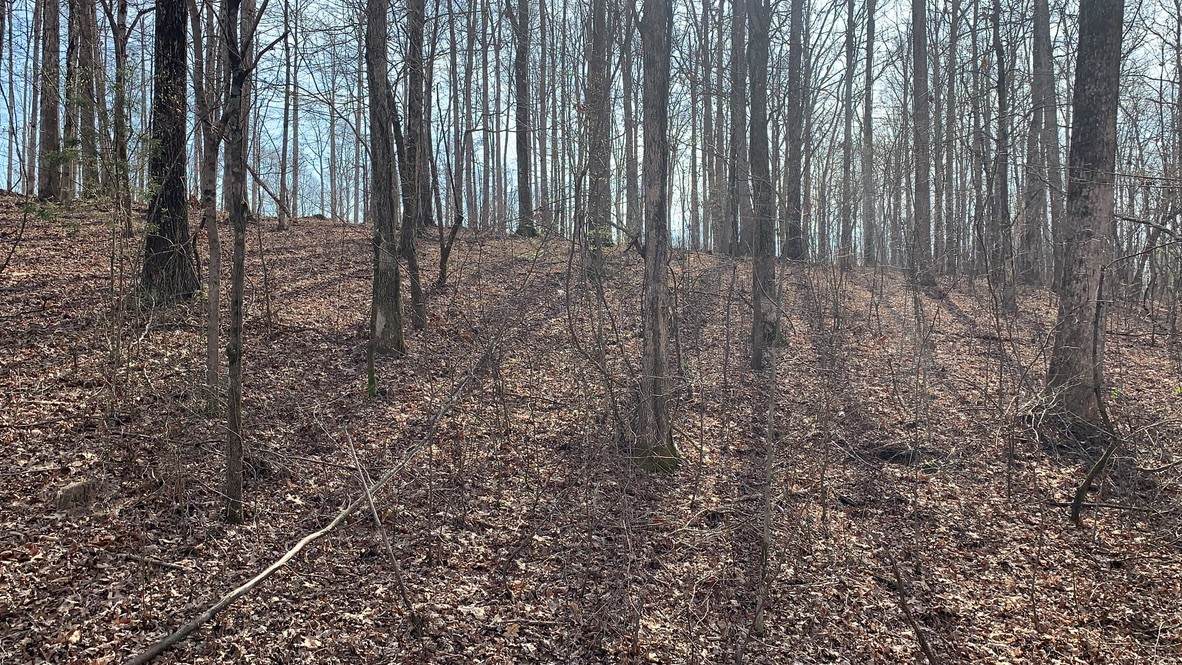 1385 Ridgewood Drive - Photo 1