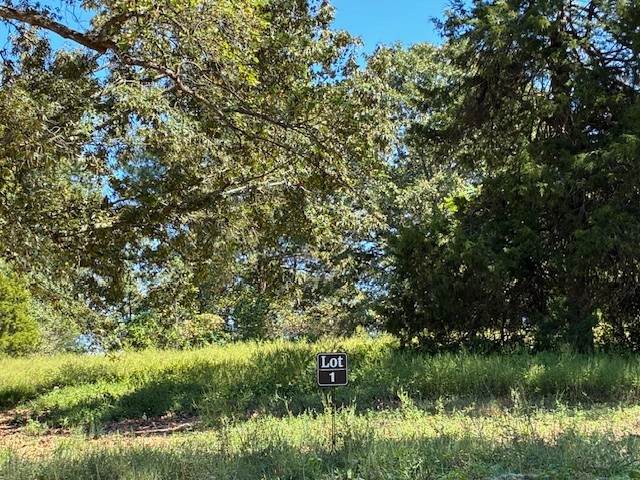 0 Hunziker Lane - Photo 1