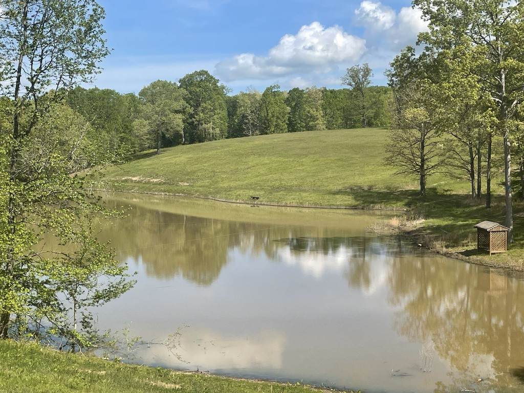 https://bt-photos.global.ssl.fastly.net/nashville/orig_boomver_2_RTC2809995-1.jpg