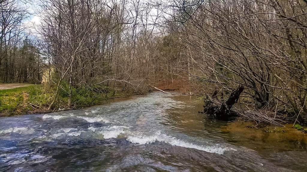 642 Goodman Branch Rd - Photo 1