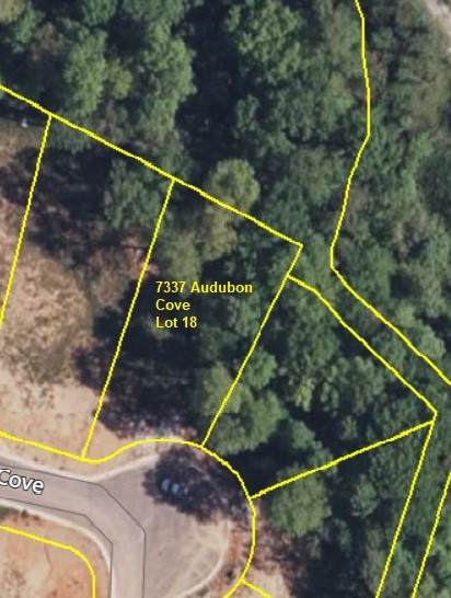 7337 Audubon Cv - Photo 1