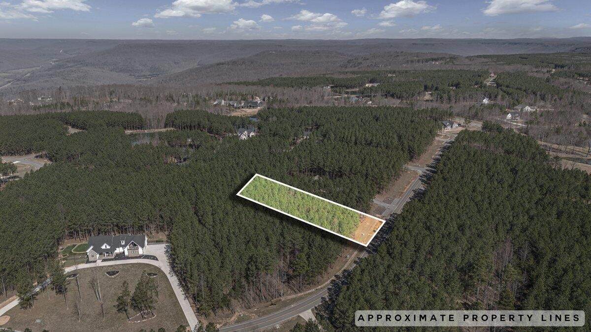 3940 Crockett Point - Photo 1