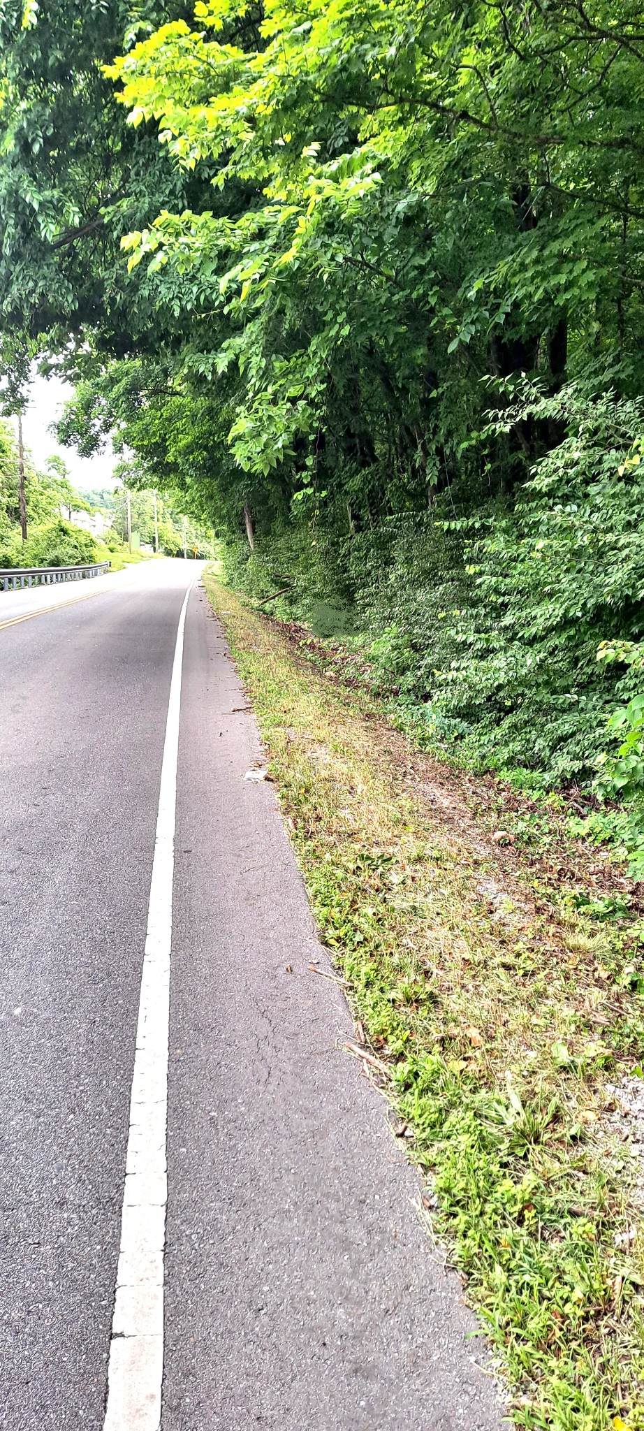 0 Sawyer Brown  Rd - Photo 1