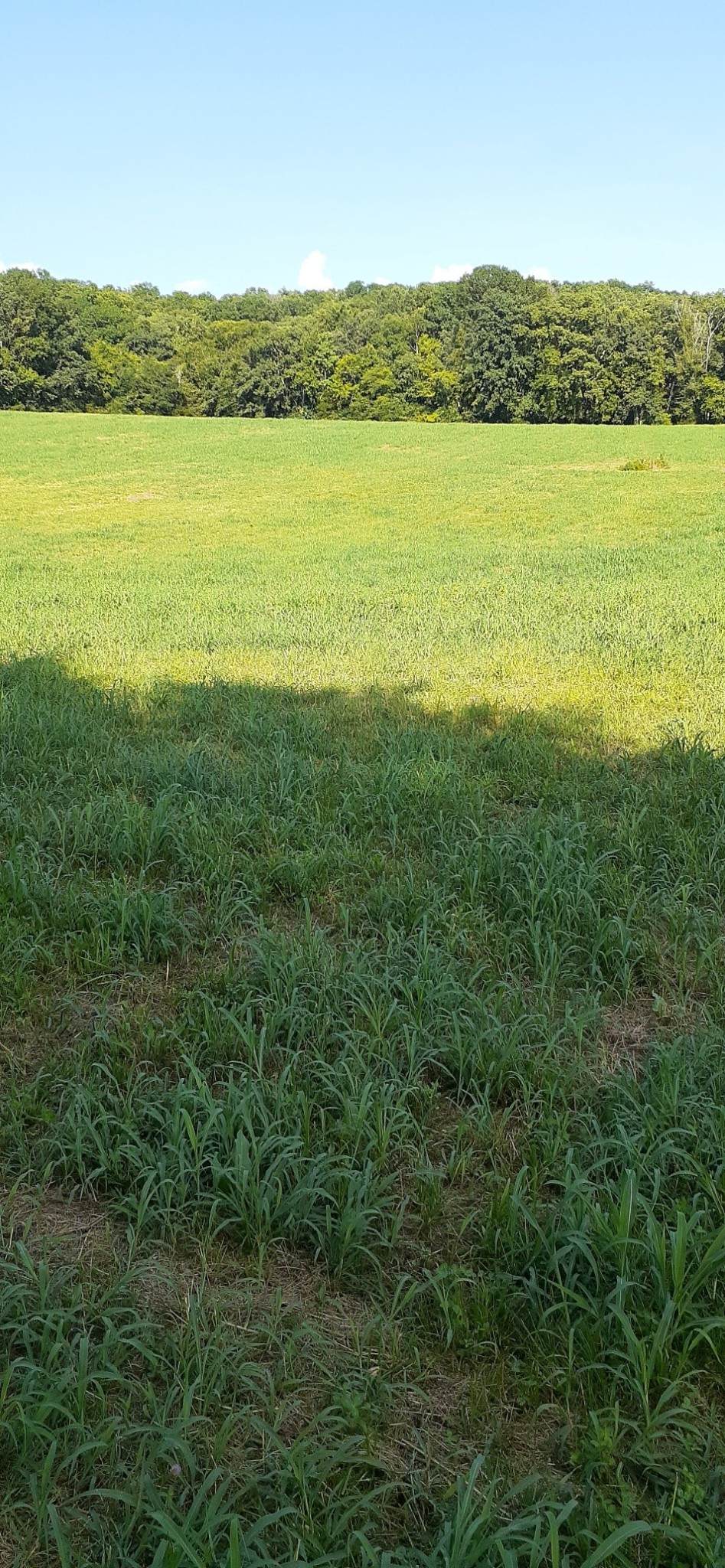 0 Hwy 130 E - Photo 1