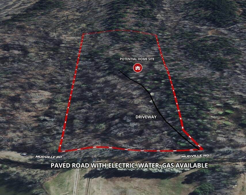 0 Bethuel Church Rd - Photo 1