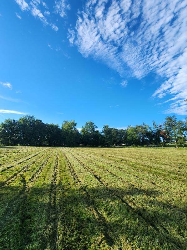 0 Allen Ferry Rd - Photo 1