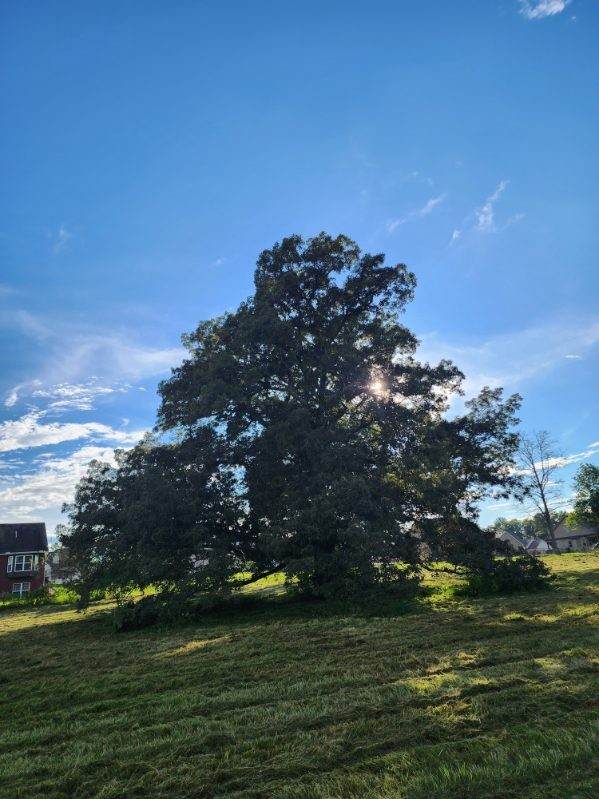https://bt-photos.global.ssl.fastly.net/nashville/orig_boomver_2_RTC2971528-1.jpg