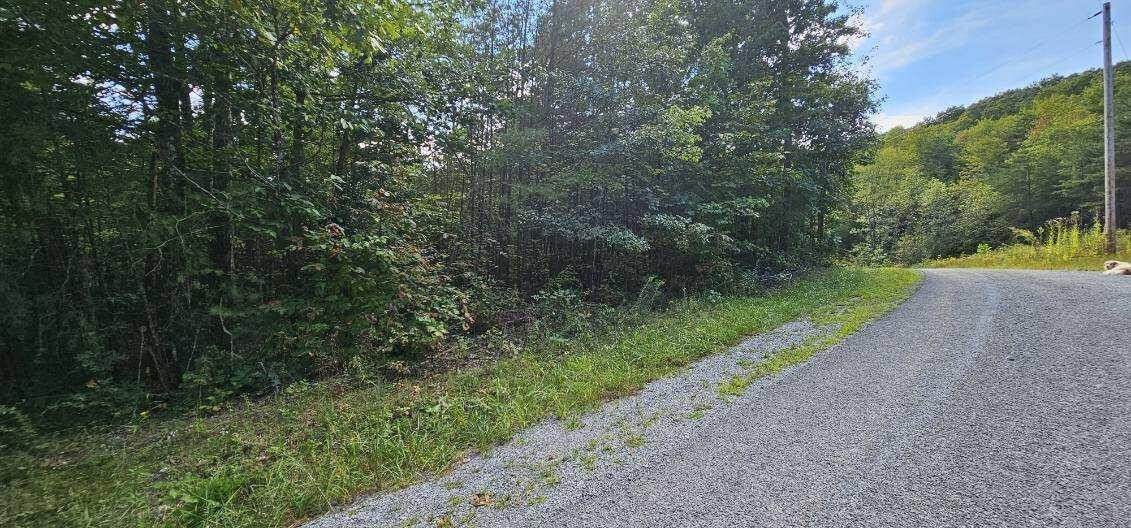 13 Bear Wallow Rd - Photo 1