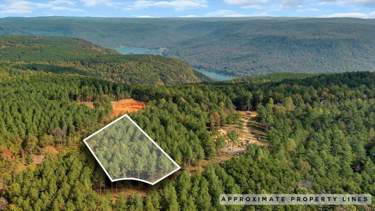 400 Treetop Street - Photo 1