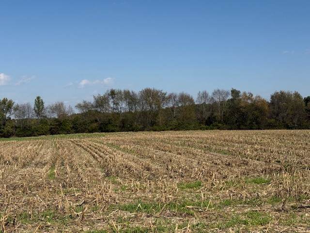 562 N Harris Rd - Photo 1