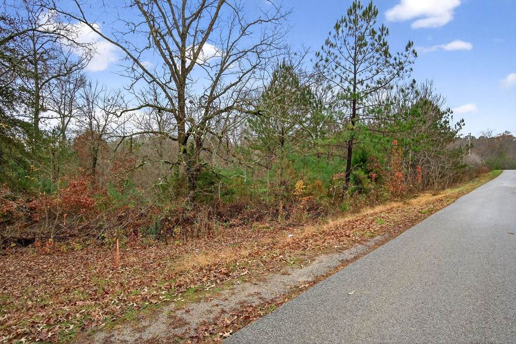 https://bt-photos.global.ssl.fastly.net/nashville/orig_boomver_2_RTC3050083-1.jpg
