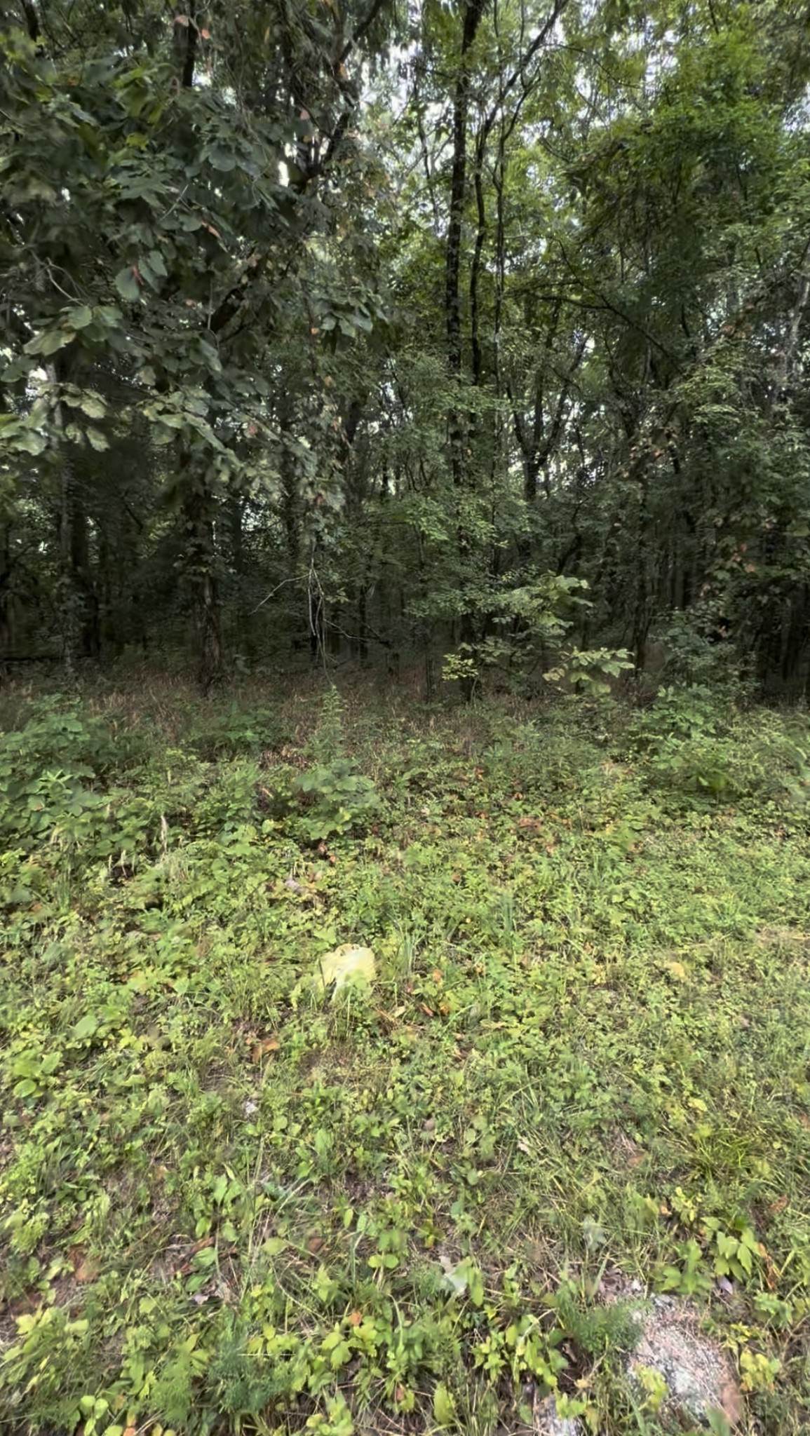 https://bt-photos.global.ssl.fastly.net/nashville/orig_boomver_2_RTC3051722-1.jpg