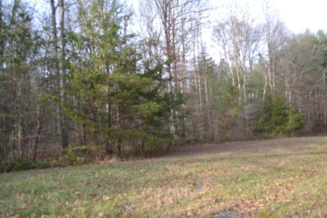 0 Shotgun Annie Rd - Photo 1