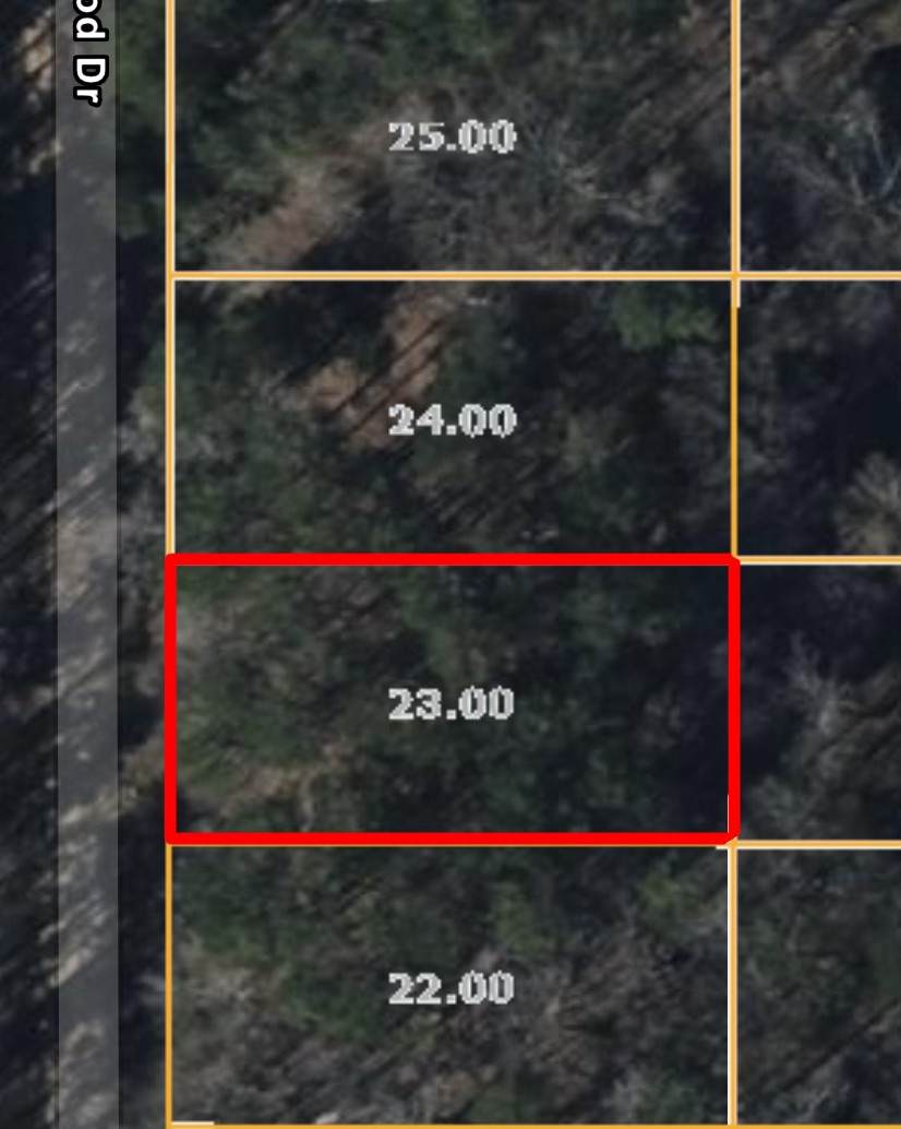 200 Dogwood Dr - Photo 1