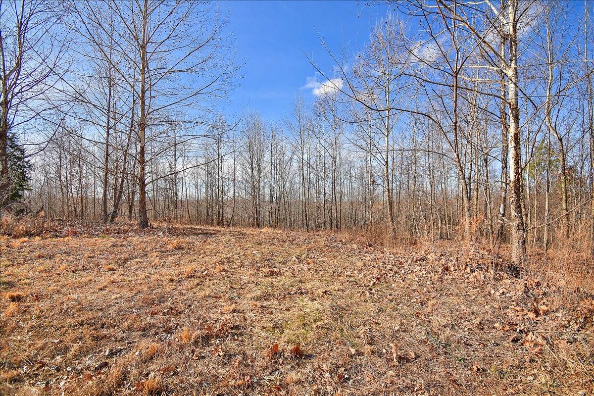 98 Saddleback Drive - Photo 1