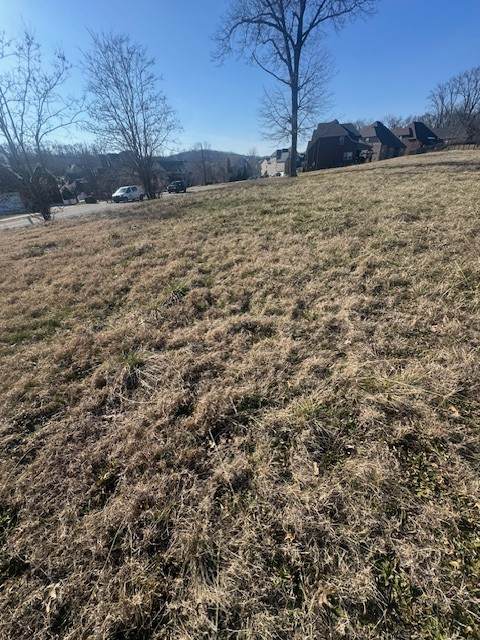 0 Bonifay Drive - Photo 1