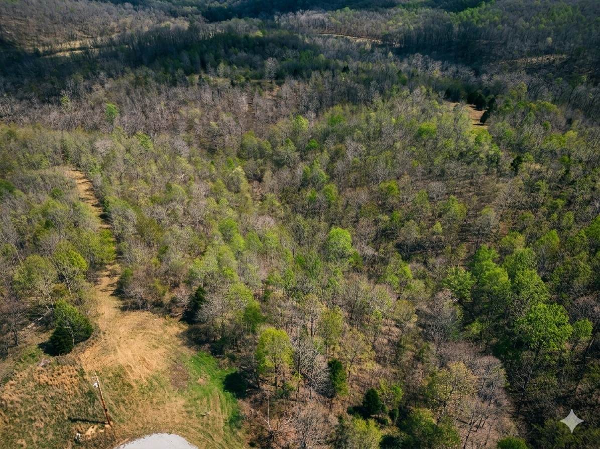 0 Topside Drive - Photo 1