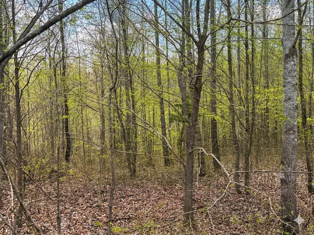 https://bt-photos.global.ssl.fastly.net/nashville/orig_boomver_2_RTC3137533-1.jpg