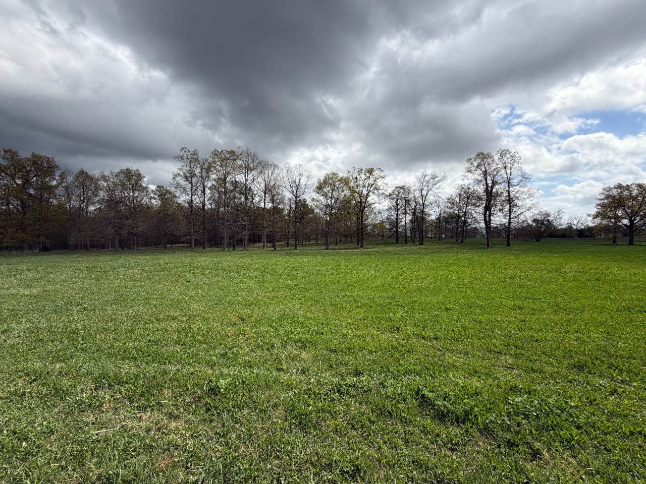 https://bt-photos.global.ssl.fastly.net/nashville/orig_boomver_2_RTC3139463-1.jpg