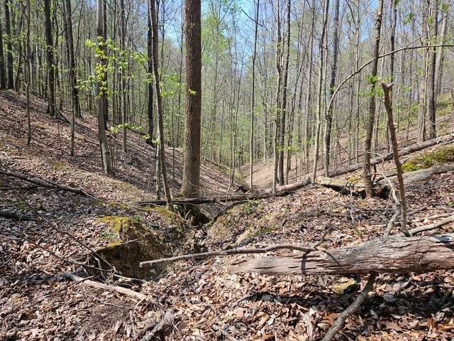 5 Acres Benton Tidwell Rd - Photo 1