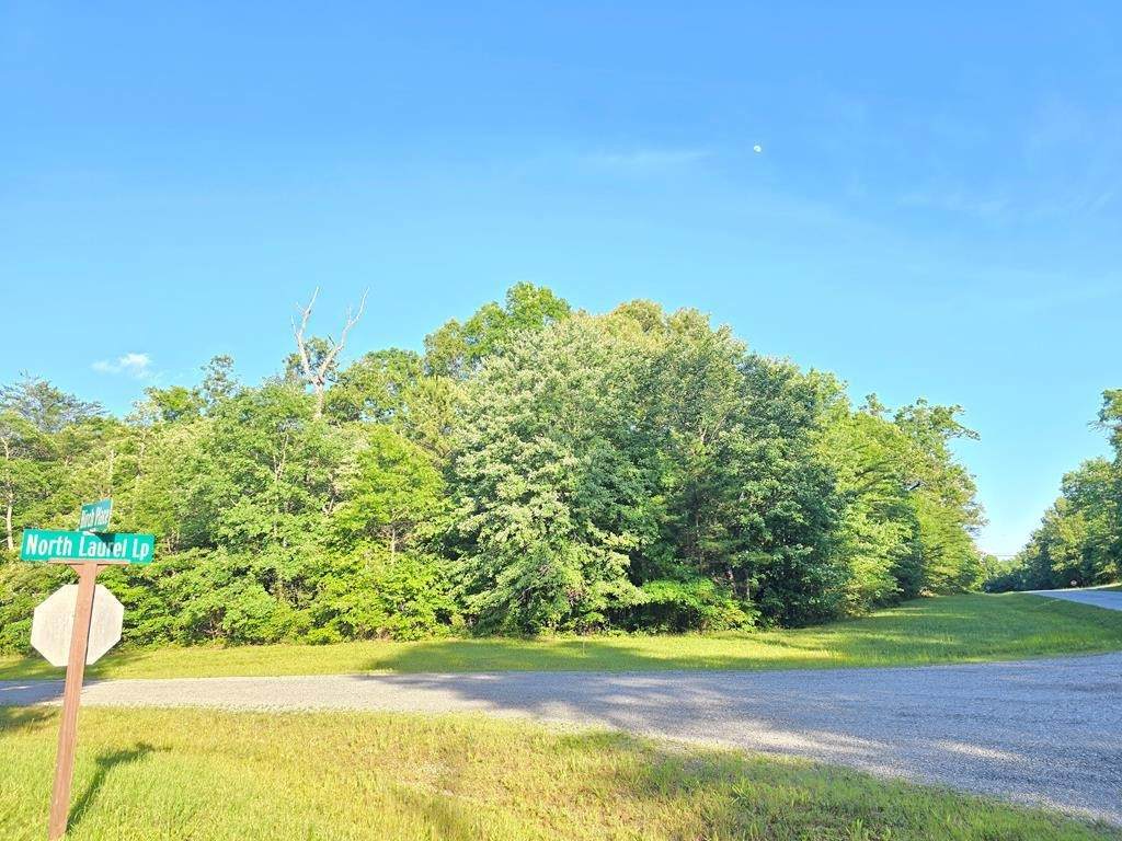 0 Laurel Loop - Photo 1
