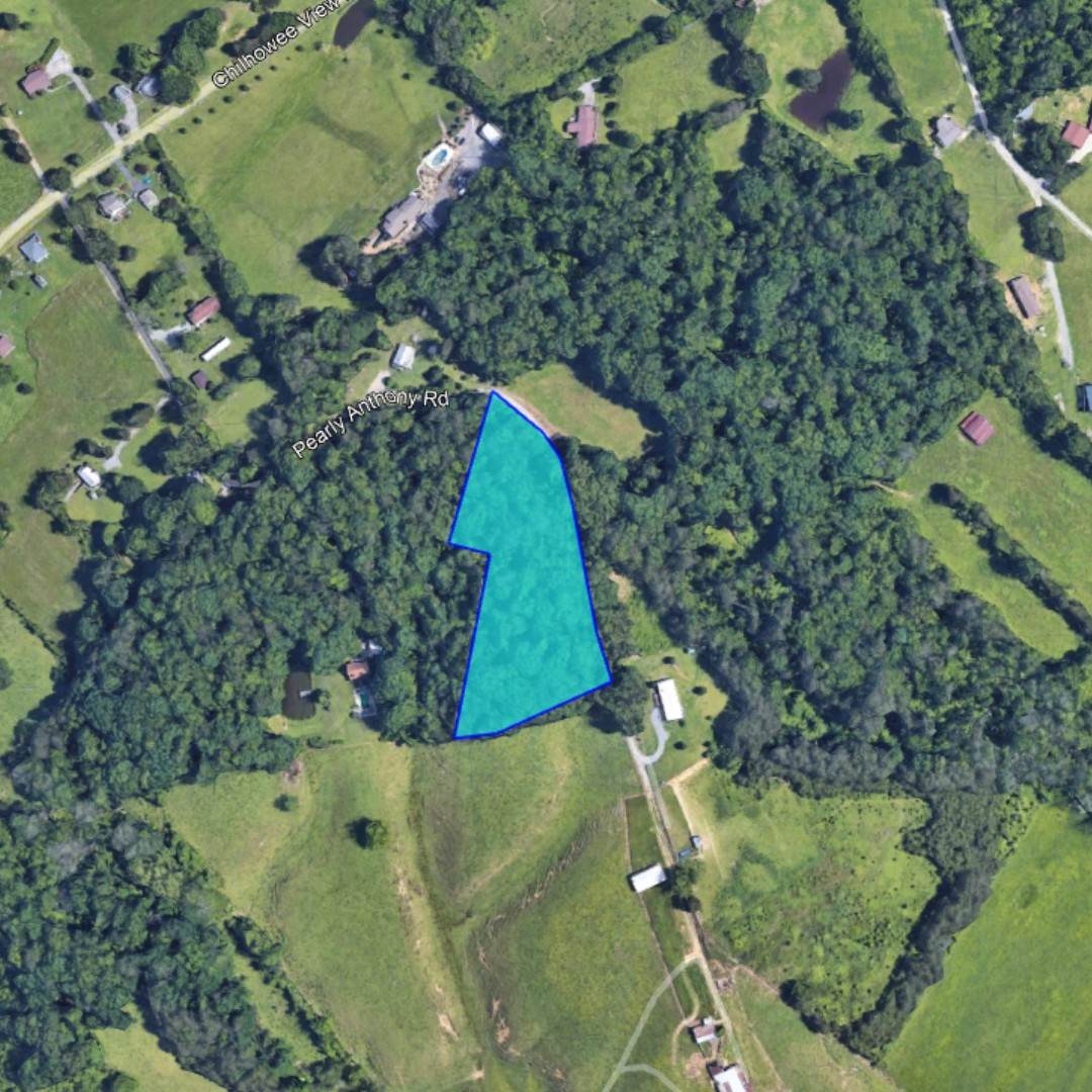 0 Pearly Anthony Rd - Photo 1