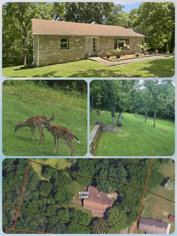 https://bt-photos.global.ssl.fastly.net/nashville/orig_boomver_2_RTC3306235-1.jpg