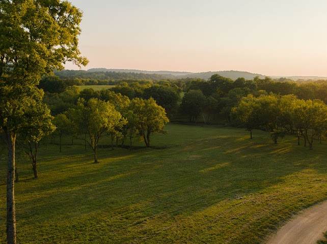 https://bt-photos.global.ssl.fastly.net/nashville/orig_boomver_2_RTC3546303-1.jpg