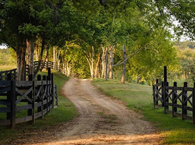 https://bt-photos.global.ssl.fastly.net/nashville/orig_boomver_2_RTC3546303-1.jpg