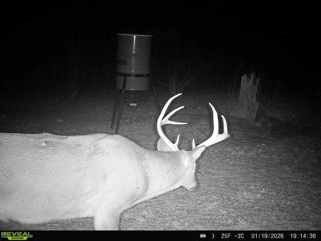 534 Whitney Branch Rd - Photo 1