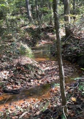 https://bt-photos.global.ssl.fastly.net/nashville/orig_boomver_2_RTC3610366-1.jpg