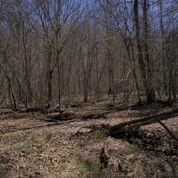 0 Teal Hollow Rd - Photo 1