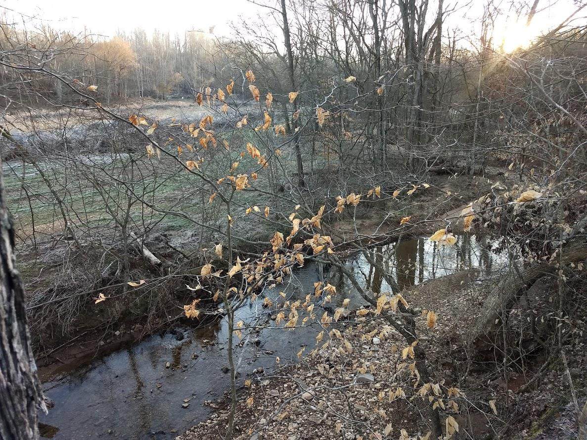 2720 Maysville Rd - Photo 1