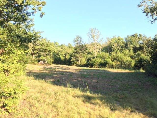579 Lower Halls Mill Rd - Photo 1