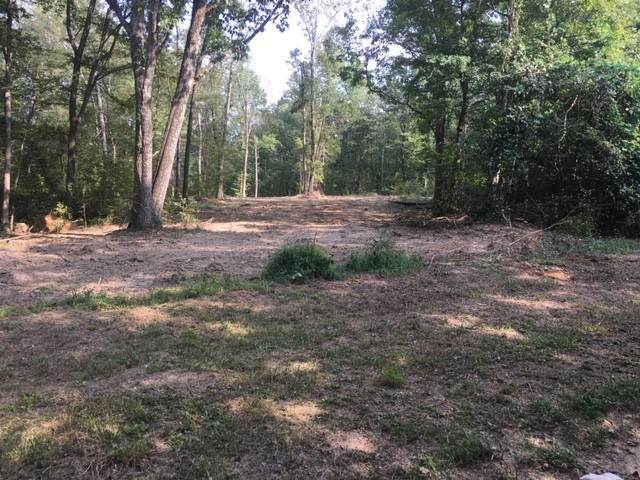 0 Buck Branch Rd - Photo 1