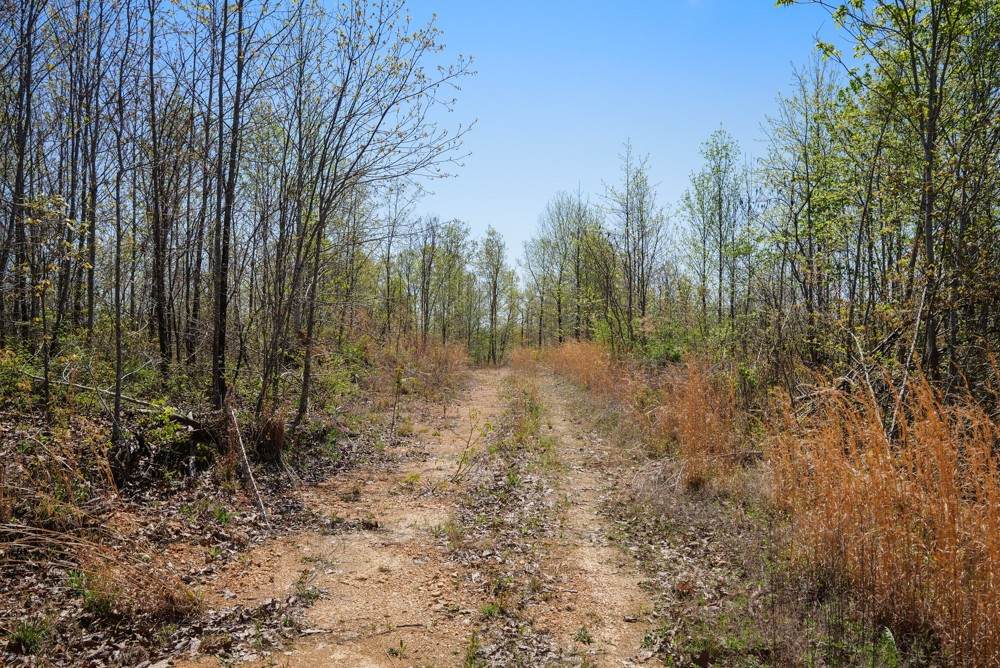 0M S Hurricane Creek Rd - Photo 1