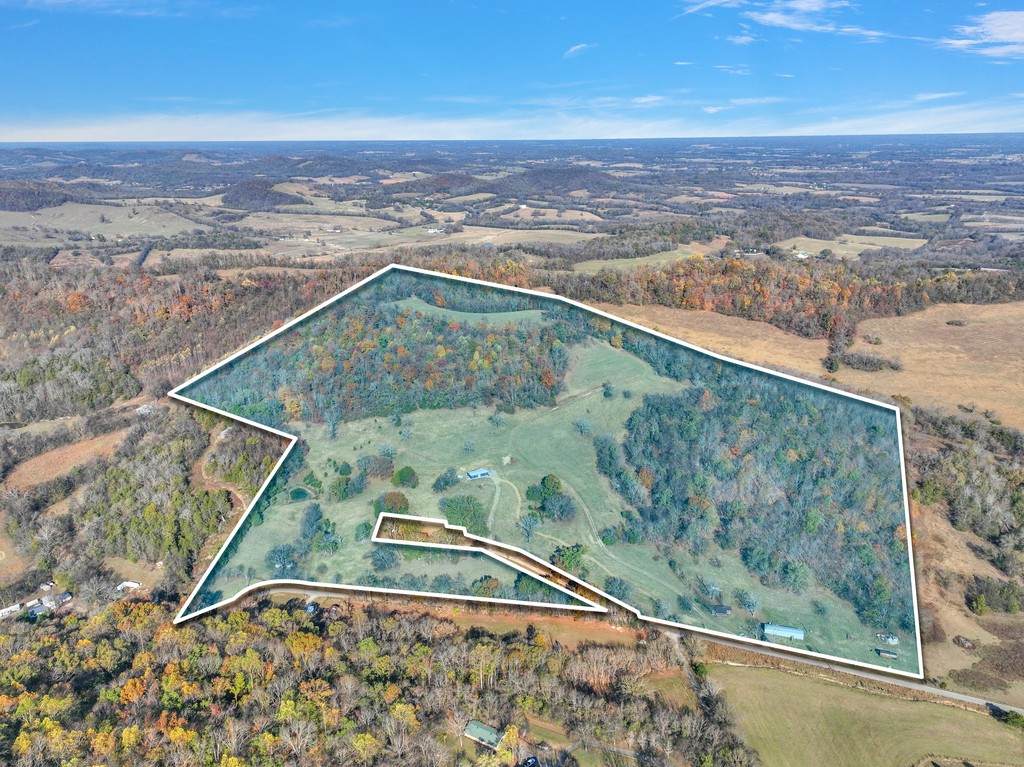 314 Savage Hollow Rd - Photo 1